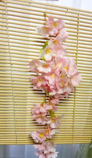 花玉すだれ 桜2 IMG_20190302_170423.jpg